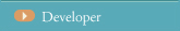 Developer